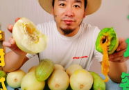 比较热门的网红吃瓜,盘点热门事件背后的真相与笑料